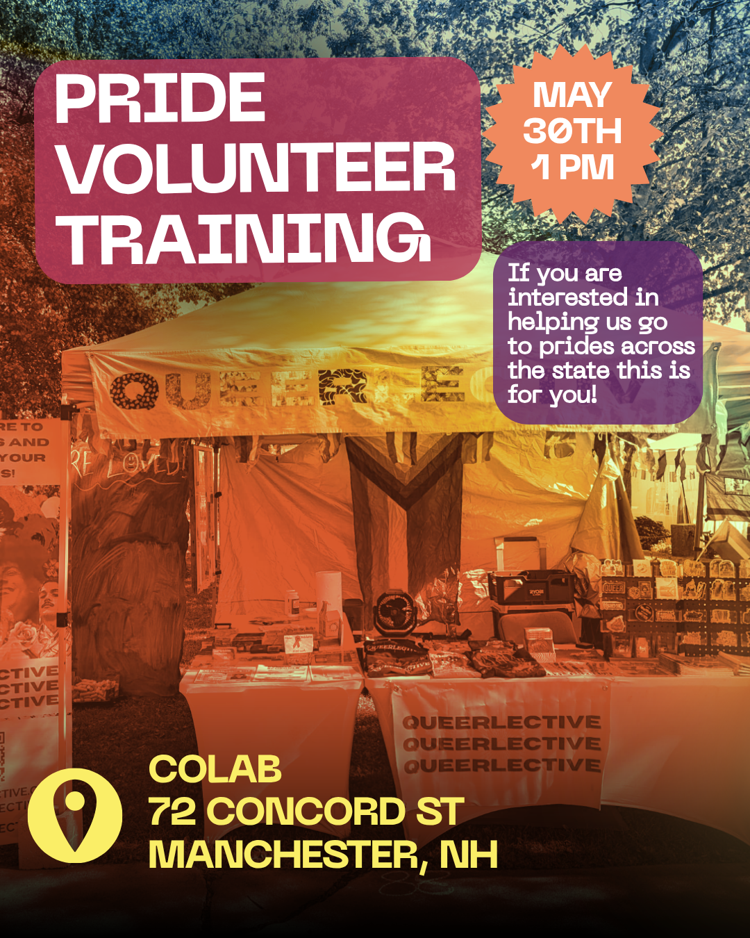 Pride Volunteer Training