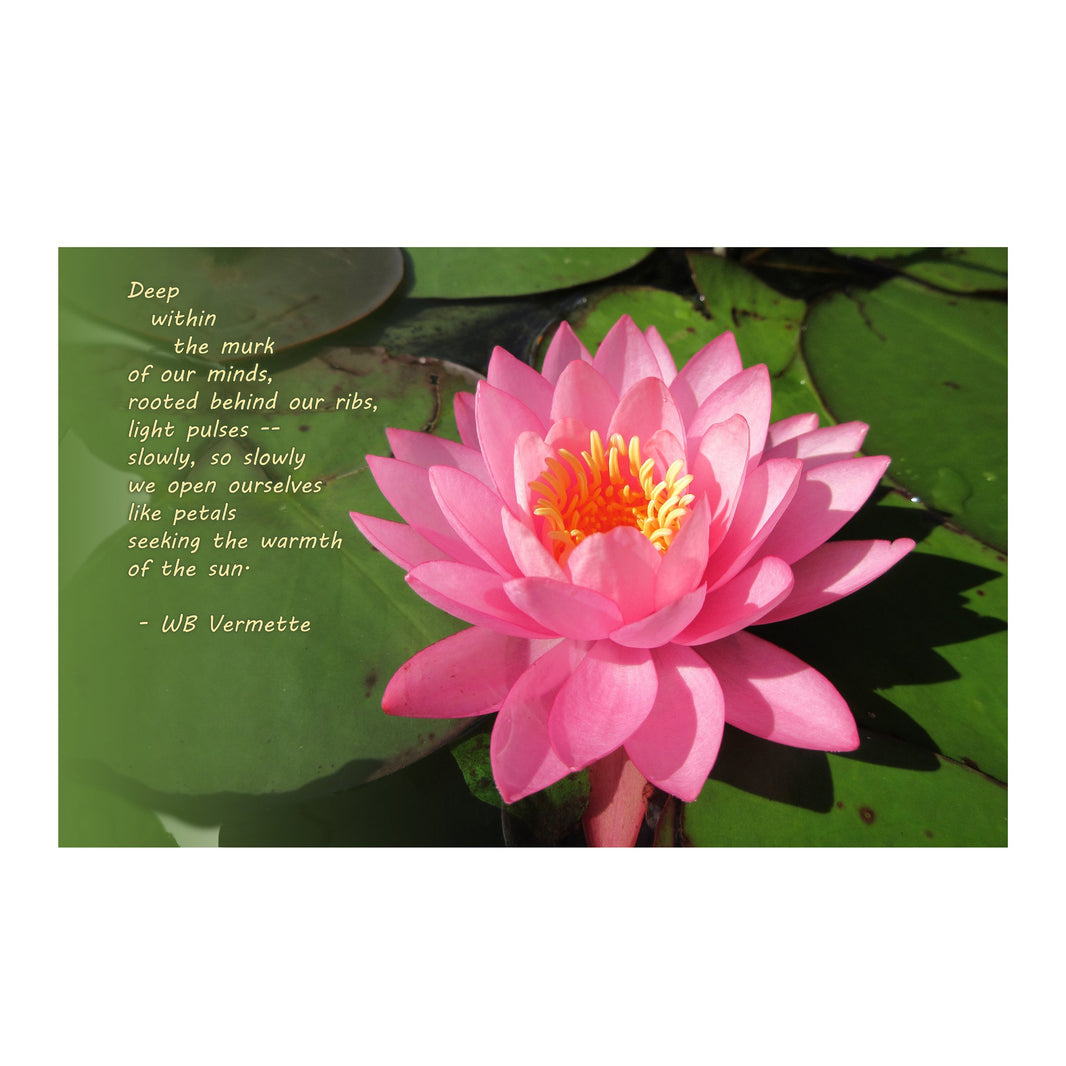 6931e60969a9d70b9e33c35a_lauren-watercolor-poem-lotus-5428-copy_1779711375395.jpg