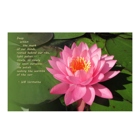 6931e60969a9d70b9e33c35a_lauren-watercolor-poem-lotus-5428-copy_1779711375395.jpg