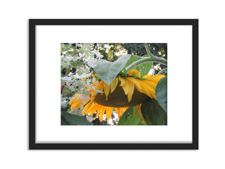 6931e60969a9d70b9e33c35a_sunflower-and-hydrangea_1791123199723.jpg