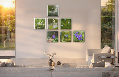 6931e60969a9d70b9e33c35a_wild-flowers-of-new-england-mockup4_1782673232099.jpg